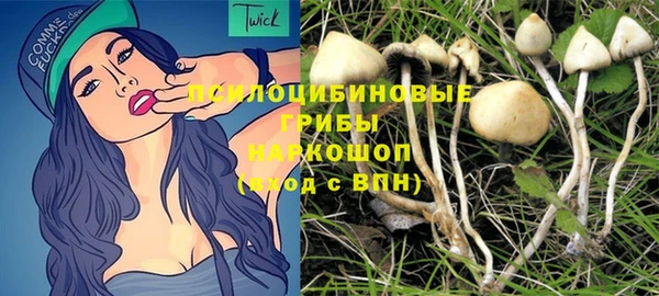 герыч Дмитров