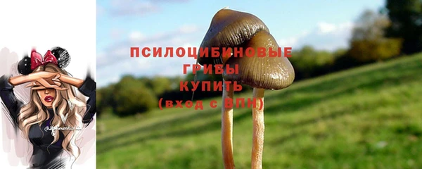 MDMA Premium VHQ Дмитровск