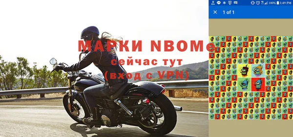 молекула духа Ельня