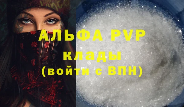 молекула духа Ельня