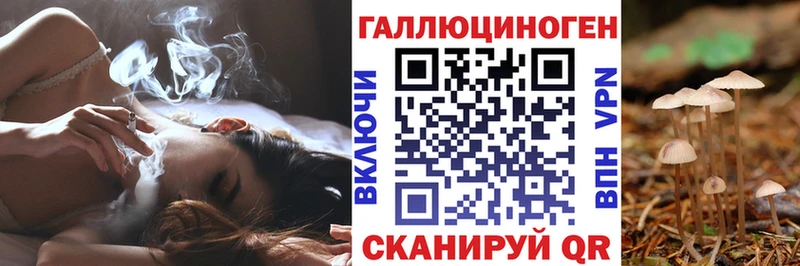 Галлюциногенные грибы Psilocybine cubensis  Купить закладки  Кизел 